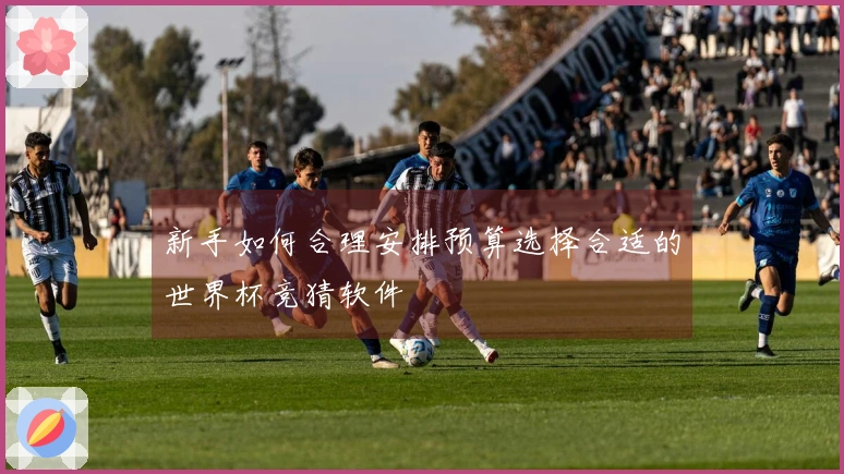 新手如何合理安排预算选择合适的世界杯竞猜软件