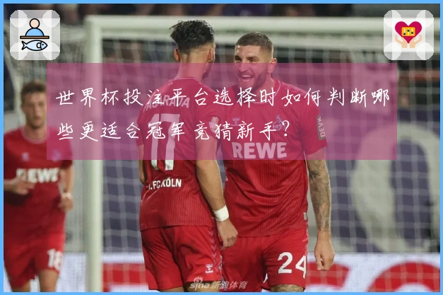 世界杯投注平台选择时如何判断哪些更适合冠军竞猜新手？