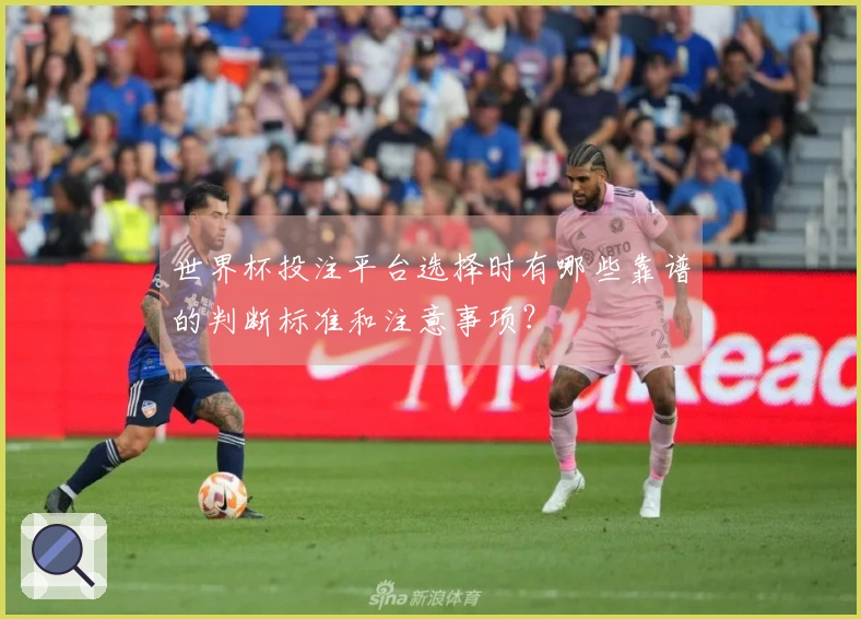 世界杯投注平台选择时有哪些靠谱的判断标准和注意事项？