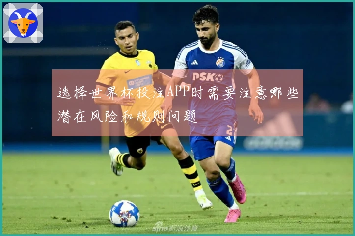 选择世界杯投注APP时需要注意哪些潜在风险和规则问题