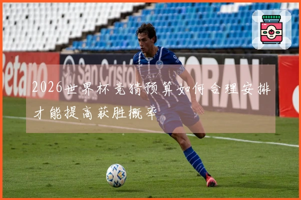 2026世界杯竞猜预算如何合理安排才能提高获胜概率