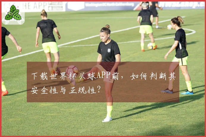 下载世界杯买球APP前，如何判断其安全性与正规性？