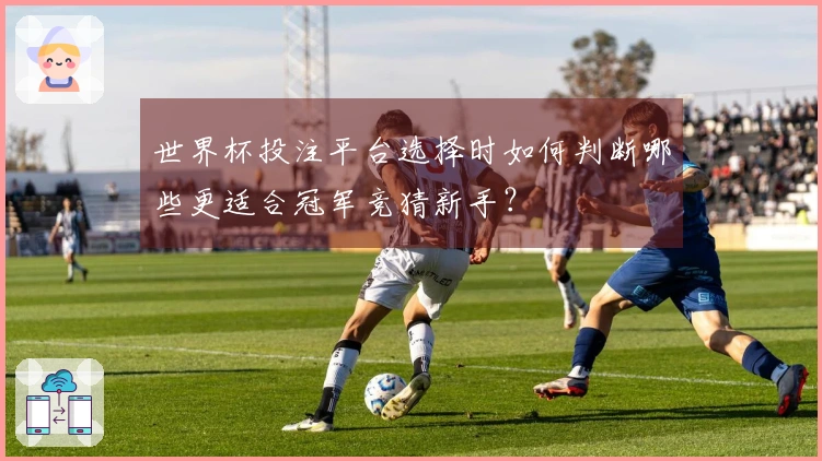 世界杯投注平台选择时如何判断哪些更适合冠军竞猜新手？