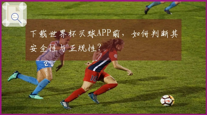 下载世界杯买球APP前，如何判断其安全性与正规性？